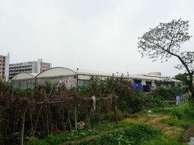 新城市江南