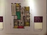 乐清宏地壹品国际_4室2厅2卫 建面129平米
