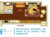 万达公馆_1室1厅1卫 建面47平米