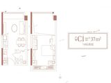 东润朗寓_1室1厅1卫 建面37平米