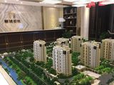 新城悦隽