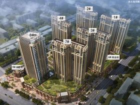 金为启宸