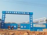 万绿春天