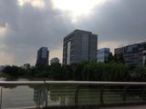 中新汇金大厦