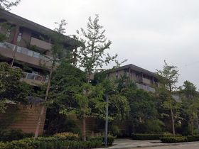 启迪国际城仕家│汀舍