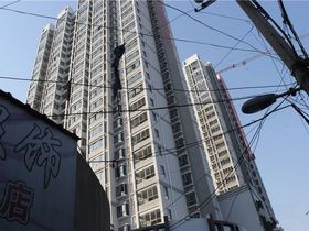 金发豪苑