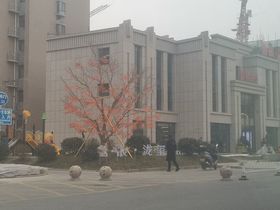 鲁银泷玺