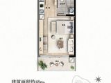 华彬绿城大理桃花源_1室1厅1卫 建面48平米