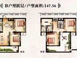沂河蘭庭郡_B户型跃层/户型面积：147.56 建面0平米