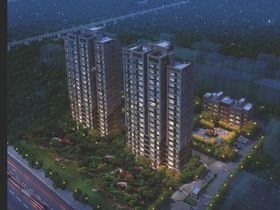 金为启宸
