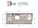 万科双月湾_1室1厅1卫 建面42平米