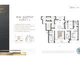 绿城云庐_4室2厅3卫 建面209平米
