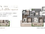 中建太泽之星丨藏湖_4室2厅3卫 建面215平米